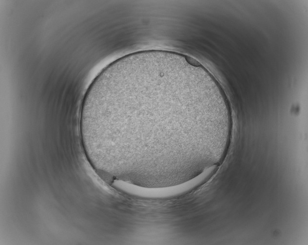 X0000112461246200909281012