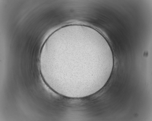 X0000112461247200909281013