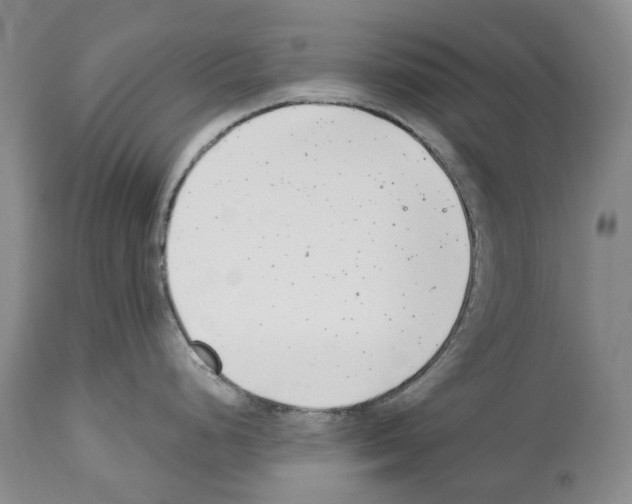 X0000112461248200909281013