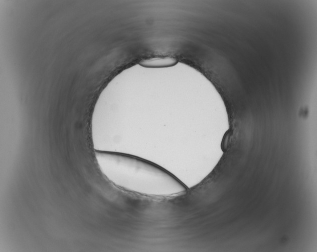 X0000112461249200909281012