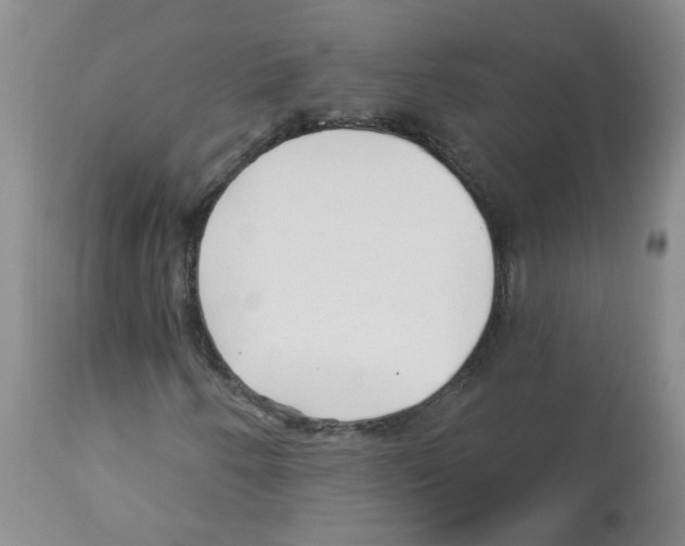 X0000112461250200909281012