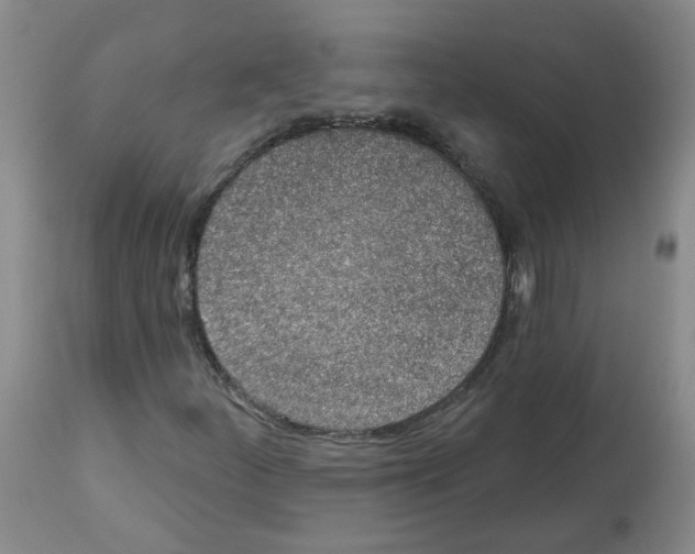 X0000112461252200909281012
