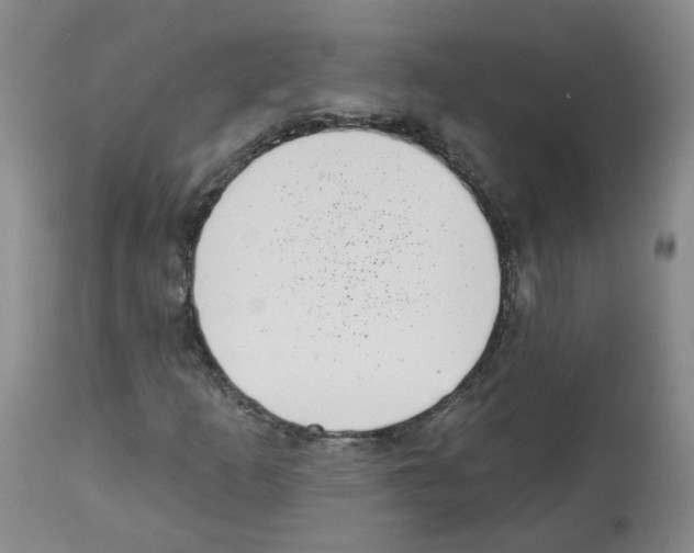 X0000112461253200909281012