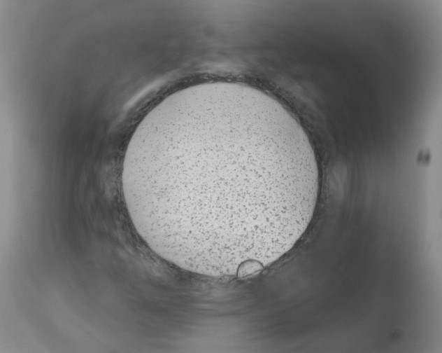 X0000112461254200909281012