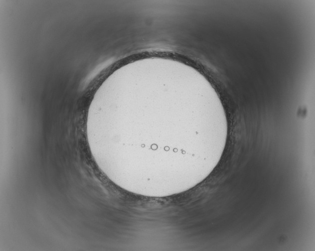 X0000112461255200909281012
