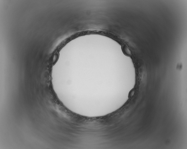X0000112461256200909281012