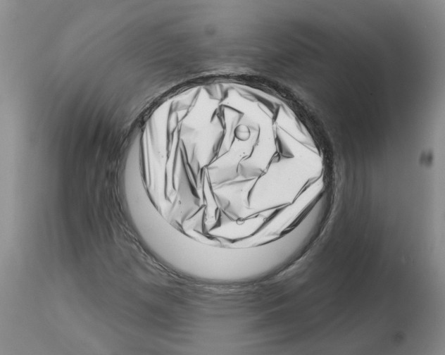 X0000112461257200909281012