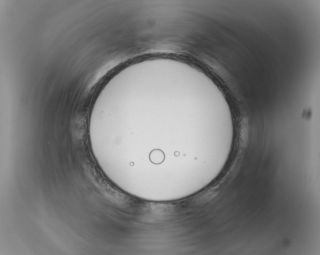 X0000112461258200909281012