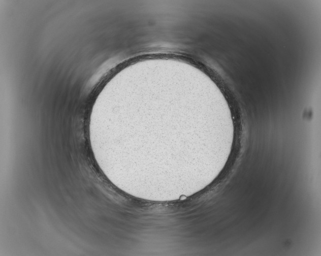 X0000112461259200909281012