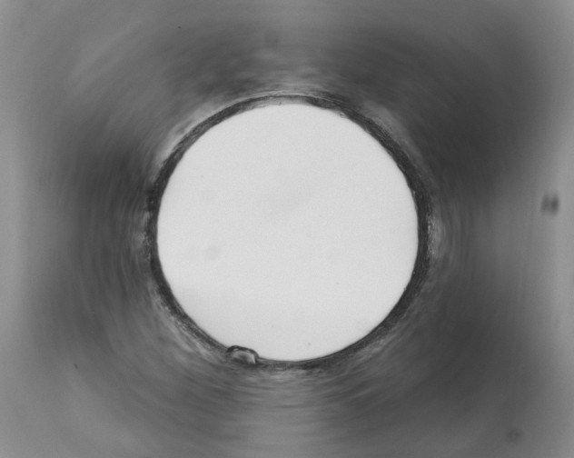 X0000112461260200909281012