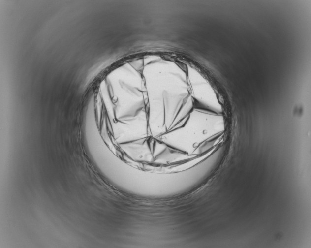 X0000112461261200909281012