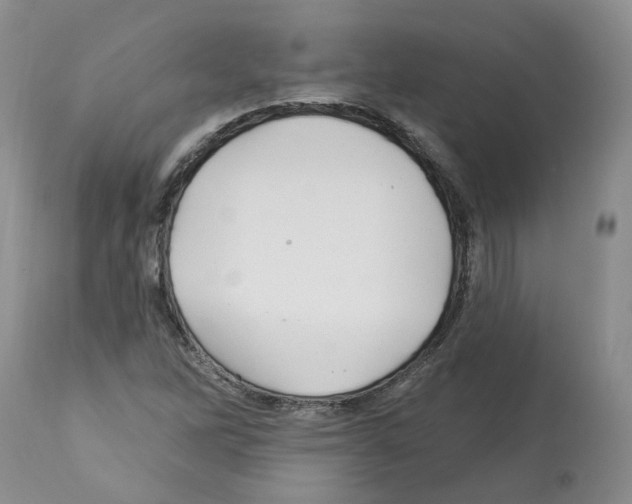 X0000112461262200909281012
