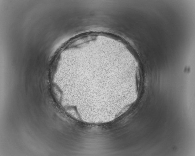 X0000112461263200909281011
