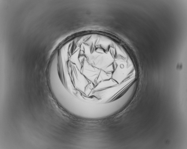 X0000112461264200909281011