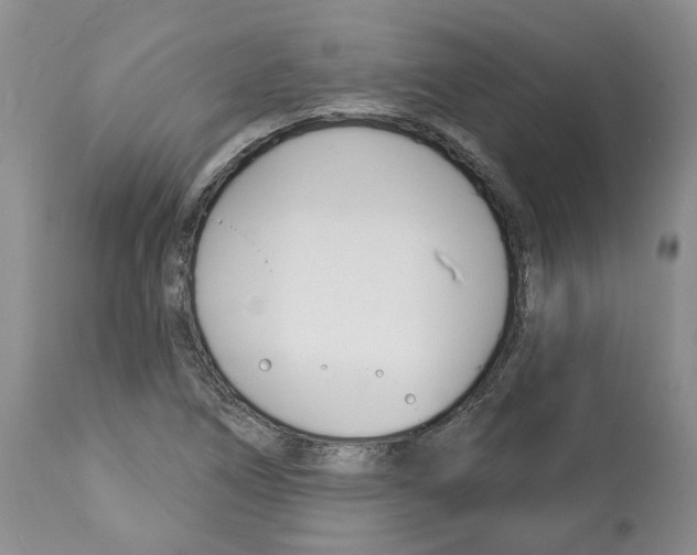 X0000112461266200909281011