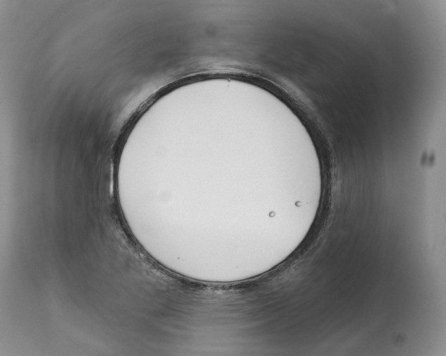 X0000112461269200909281011
