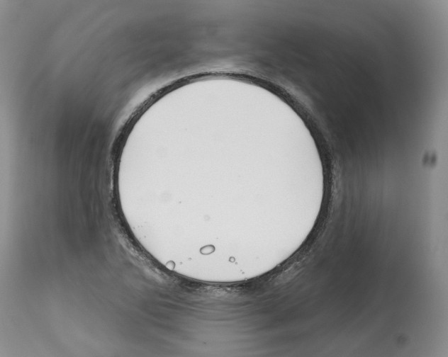 X0000112461270200909281011