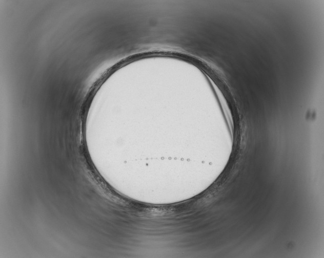 X0000112461271200909281011