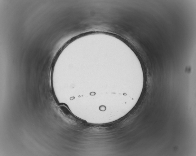X0000112461272200909281011