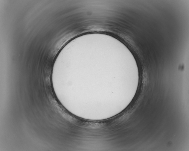 X0000112461273200909281011