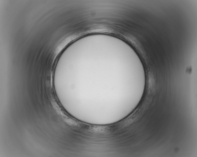 X0000112461274200909281011