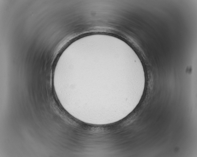 X0000112461275200909281011
