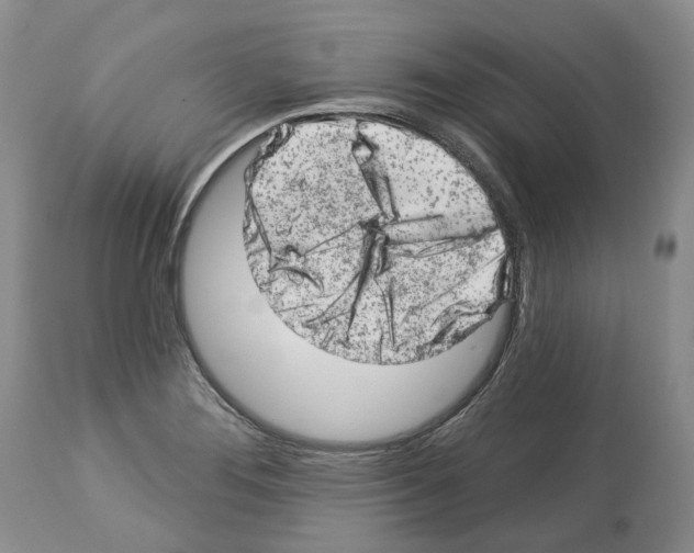 X0000112461276200909281011