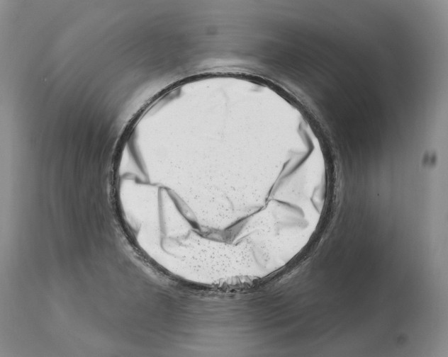 X0000112461277200909281011