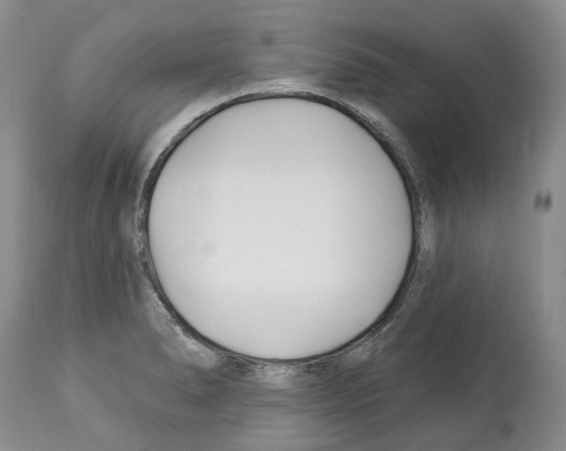 X0000112461278200909281011