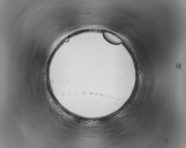 X0000112461279200909281011