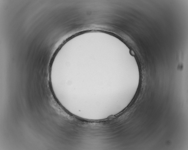 X0000112461280200909281011