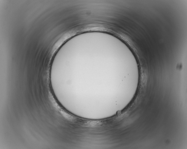 X0000112461282200909281011