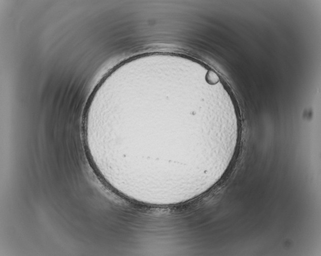 X0000112461283200909281011