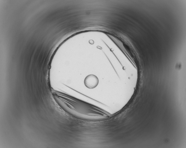 X0000112461284200909281011