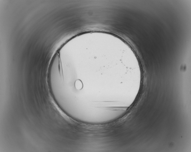 X0000112461285200909281011