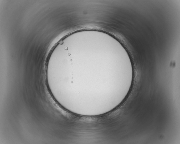 X0000112461286200909281011