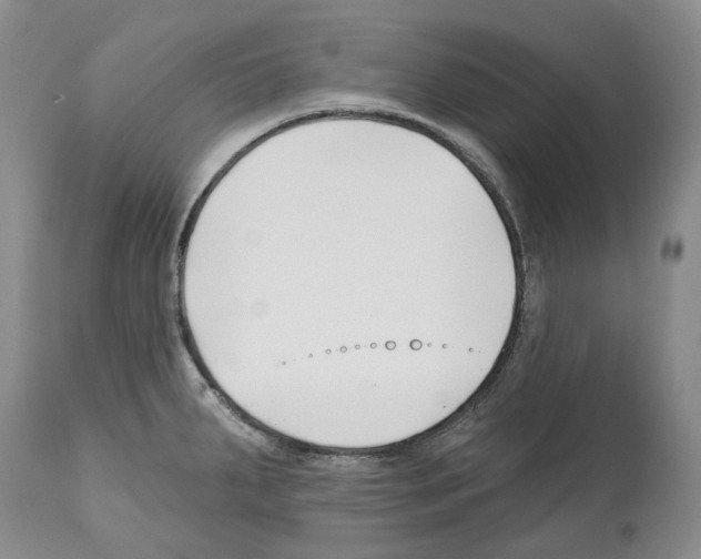 X0000112461287200909281011