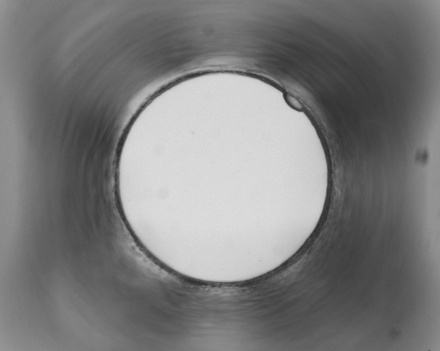X0000112461288200909281011