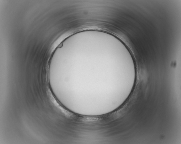 X0000112461290200909281011