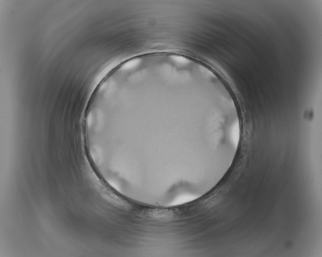 X0000112461291200909281011