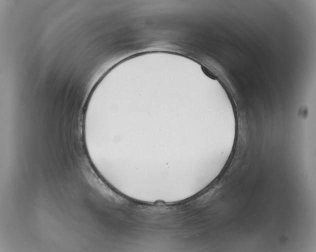 X0000112461292200909281011