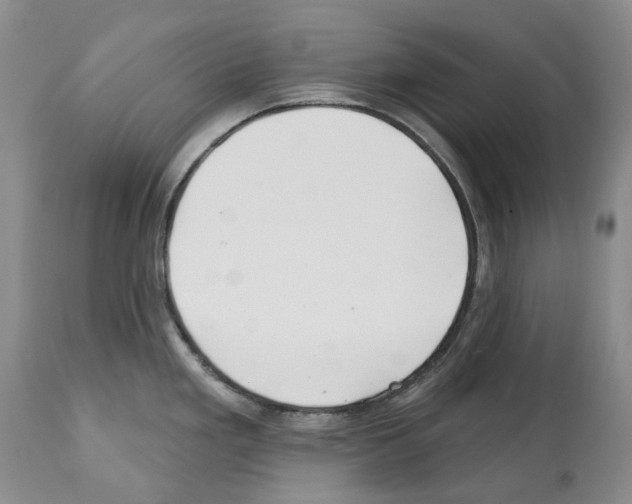 X0000112461293200909281011