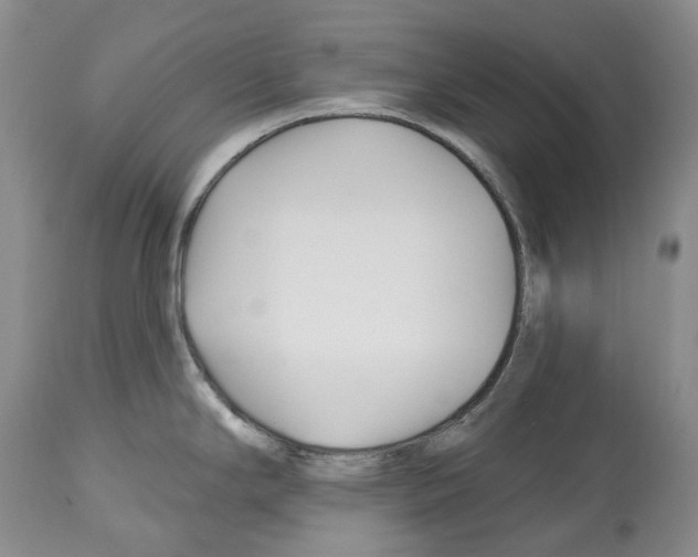 X0000112461294200909281011
