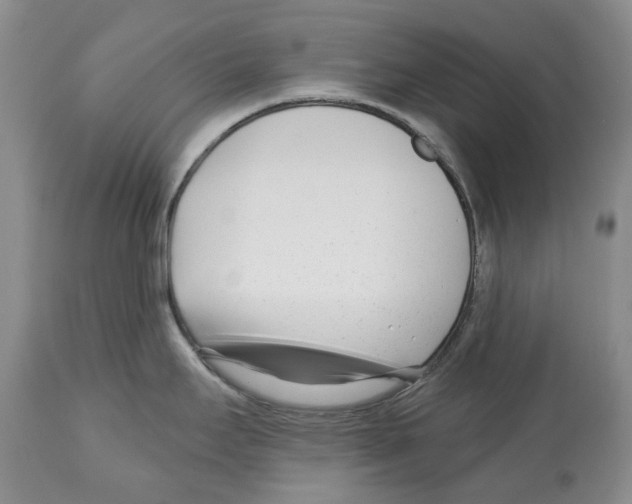 X0000112461295200909281011