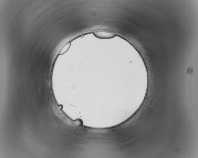 X0000112461296200909281011