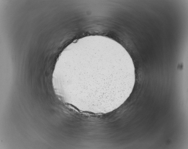 X0000112461297200909281010