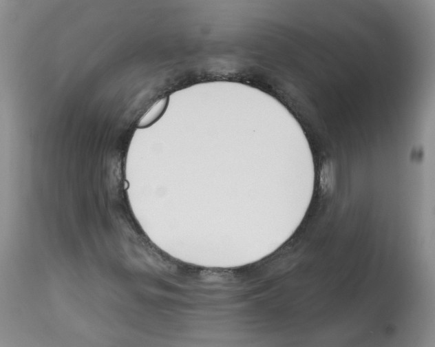 X0000112461299200909281010