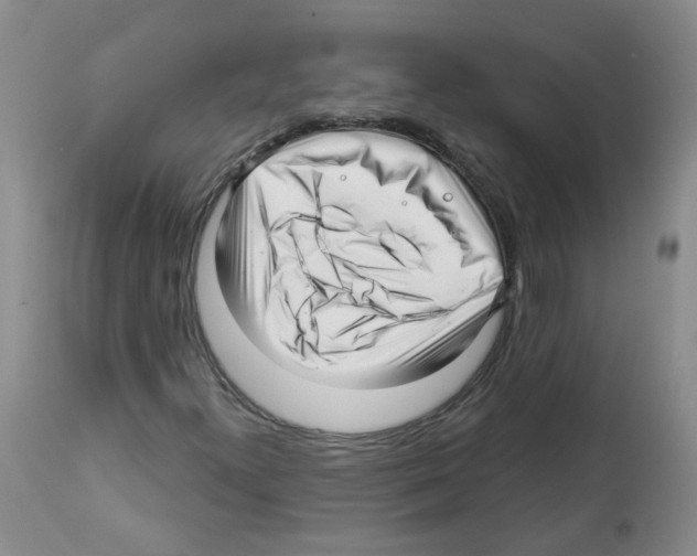 X0000112461300200909281010