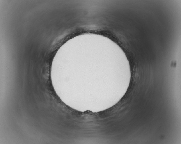 X0000112461301200909281010