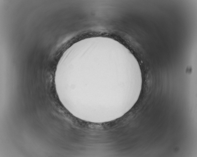 X0000112461302200909281010